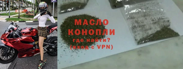 твердый Инсар