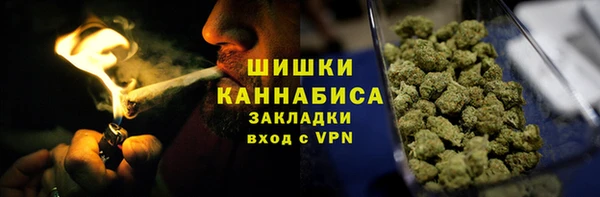 PSILOCYBIN Иннополис