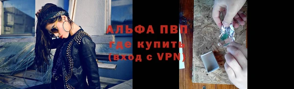 твердый Инсар