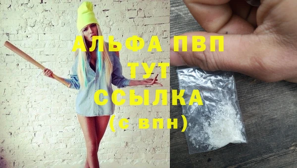 PSILOCYBIN Иннополис