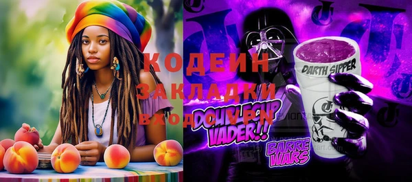 твердый Инсар