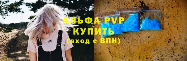 PSILOCYBIN Иннополис