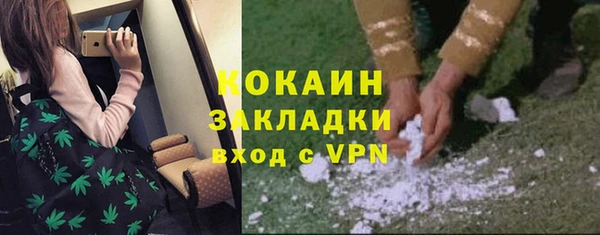 твердый Инсар