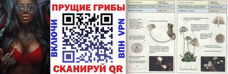 Псилоцибиновые грибы MAGIC MUSHROOMS  Купить закладки  Могоча 