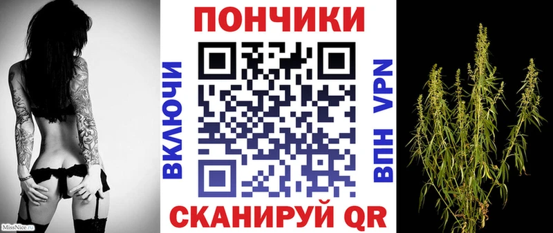 Конопля индика  Купить где  Могоча 